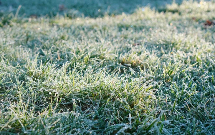 МЧС предупредило о заморозках до минус шести градусов в Москве