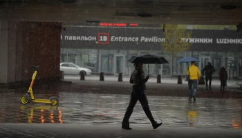 Синоптики предупредили москвичей о дождливой и ветреной погоде 11 мая