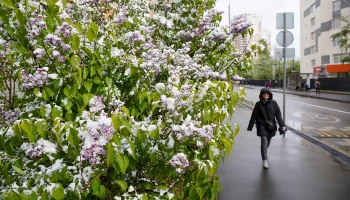 Синоптики спрогнозировали в Москве облачную погоду и до плюс 9 градусов 12 мая