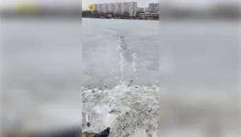 Провалившаяся под лед на Гольяновском пруду женщина скончалась