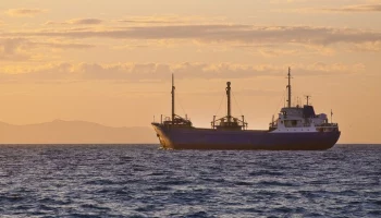 Россия может запретить Великобритании вылавливать рыбу в Баренцевом море – СМИ