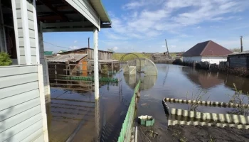 ЦБ рекомендовал реструктурировать долги предпринимателей, пострадавших от наводнений