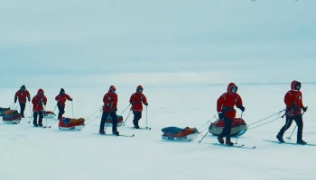 Собянин сообщил о возвращении школьников из Большой арктической экспедиции