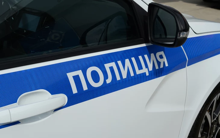 Baza: В Москве полиция задержала Диану Шурыгину