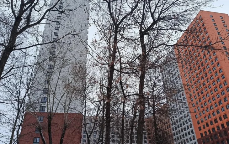 Что такое реновация в Москве