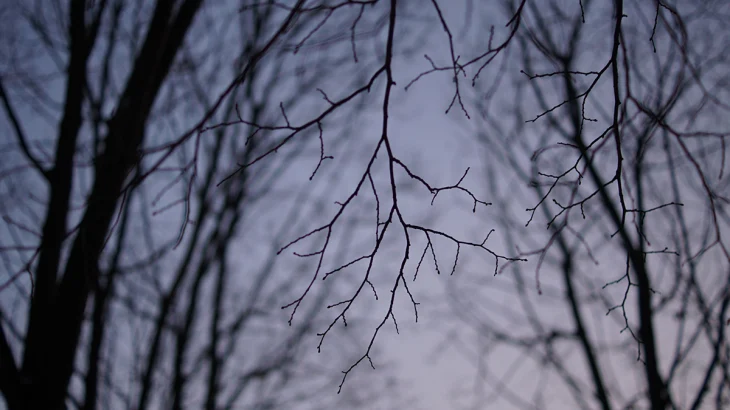 СК: Поиски Усольцевых возобновили в рамках расследования уголовного дела