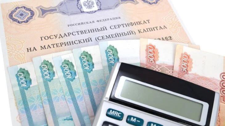 В МВД России назвали ущерб от хищений маткапитала на неродившихся детей В МВД России назвали ущерб от хищений маткапитала на неродившихся детей