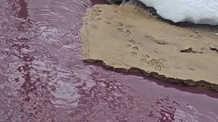 Прокуратура Москвы проверит загрязнение реки Сетуни в районе улицы Верейской Прокуратура Москвы проверит загрязнение реки Сетуни в районе улицы Верейской