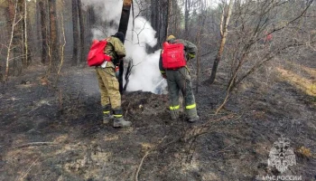 Площадь лесных пожаров в Забайкалье превысила 1 млн га