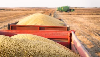 Кабмин РФ утвердил дополнительную тарифную квоту на вывоз зерновых культур в этом году