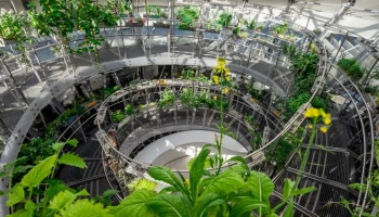 Сергунина: Москвичи назовут любимые оранжереи столицы