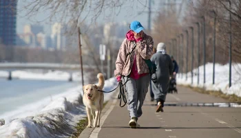 Синоптик Паршина рассказала об аномальном тепле в Москве на выходных