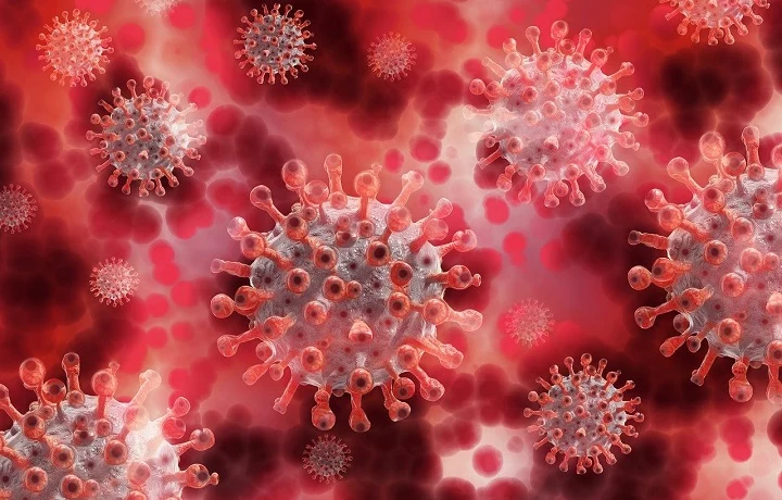 Иммунолог Крючков рассказал о связи смертельной «японской» инфекции с коронавирусом