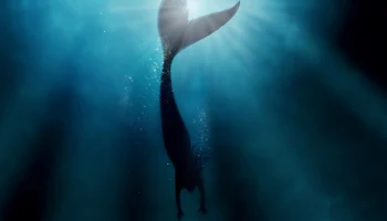 ВЦИОМ: Каждый пятый россиянин верит в русалок ВЦИОМ: Каждый пятый россиянин верит в русалок