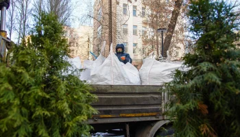 Более 9,6 тысячи деревьев высадили на благоустроенных территориях Москвы