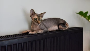 Температура в батареях столичных квартир повышена из-за морозов