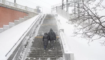 Метель и снежные накаты: Позднякова рассказала о погоде в Крещенский сочельник