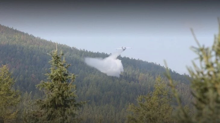 Рослесхоз: пожар в районе Дюрсо возник из-за нарушения жителями правил безопасности Рослесхоз: пожар в районе Дюрсо возник из-за нарушения жителями правил безопасности