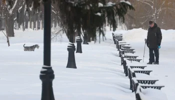 Снег и гололедица: какой будет погода в Москве на предстоящей неделе