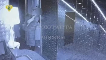 Женщина украла норковую шубу из караоке в центре Москвы