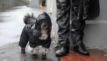 Как долго в Москве будет бушевать циклон &laquo;Кассандра&raquo; и пойдет ли снег