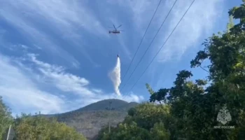 Распространение лесного пожара под Новороссийском остановлено