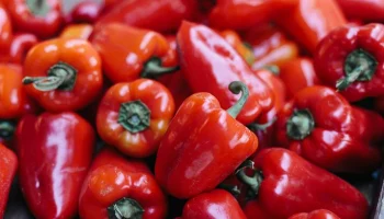 Эксперт Плугов: в России возможны перебои с поставками сладкого перца из Ирана