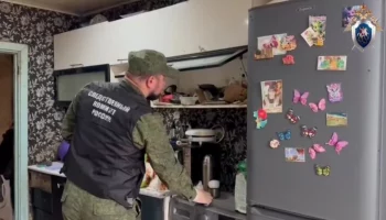 СК: гибель детей под Красноярском связана с отравлением препаратом от насекомых