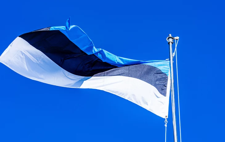 Эстония приняла закон об использовании активов РФ для компенсации ущерба Украине Эстония приняла закон об использовании активов РФ для компенсации ущерба Украине