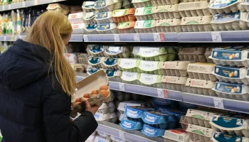 Экономист объяснил, почему импортные яйца не попали на полки российских магазинов