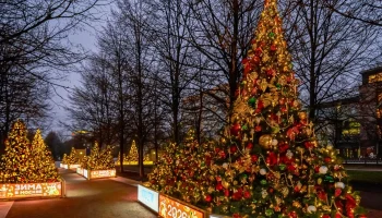 Елки «Зимы в Москве» украсили в стиле городских проектов