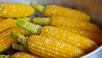 Около 100 тонн кукурузы купили на ярмарках выходного дня