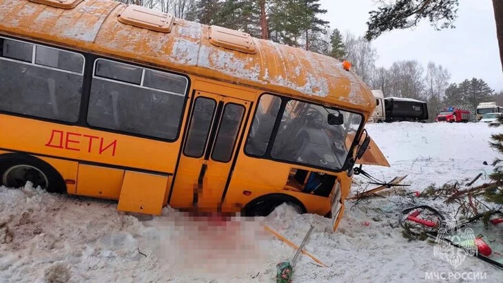 После ДТП с автобусом под Псковом госпитализировали 12 человек