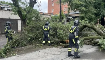 Режим ЧС ввели в Ростове-на-Дону из-за обрушившегося на регион урагана Режим ЧС ввели в Ростове-на-Дону из-за обрушившегося на регион урагана