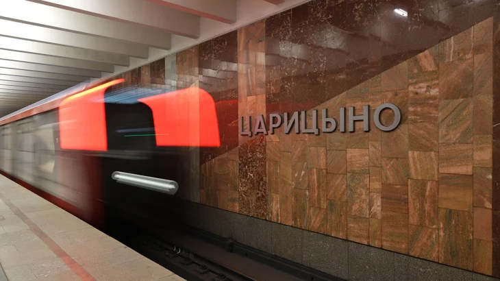 Мужчине, спрыгнувшему на путь на станции «Царицыно», назначили наказание Мужчине, спрыгнувшему на путь на станции «Царицыно», назначили наказание