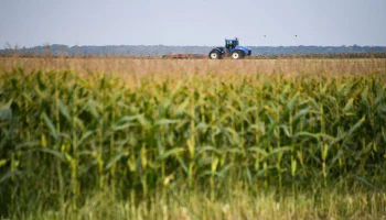 Минсельхоз РФ планирует ввести режим ЧС федерального значения из-за ущерба урожаю