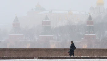 Метеоролог Позднякова предупредила об &laquo;аде&raquo; в Москве из-за метели 19 февраля