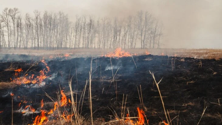 Российские лесопожарные службы потушили 30 природных пожаров за сутки Российские лесопожарные службы потушили 30 природных пожаров за сутки