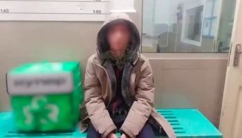 ТАСС: мужчина в Новосибирске рассказал, что избил пенсионерку из-за оскорбления