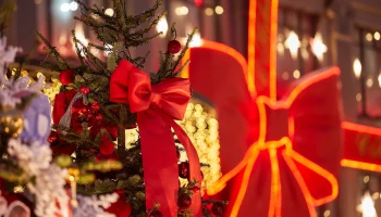 Продлен прием заявок на конкурс &laquo;Грант 100 первым&raquo; проекта &laquo;Зима в Москве&raquo;