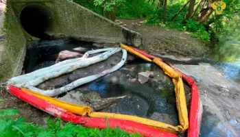 Прокуратура начала проверку из-за загрязнения реки Сетунь в Москве
