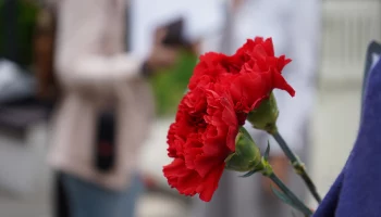 Пасечник объявил 8 июня днем траура по жертвам обстрела Луганска