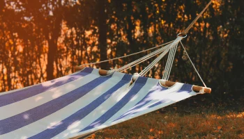 Депутат Нилов напомнил о&nbsp;длинных выходных в&nbsp;июне за&nbsp;счет переноса с&nbsp;8 марта