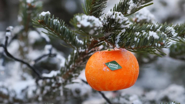 Вильфанд: Резкое потепление ждет москвичей на следующей неделе Вильфанд: Резкое потепление ждет москвичей на следующей неделе