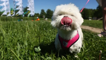 Синоптик Ильин рассказал о погоде в Москве во второй декаде мая