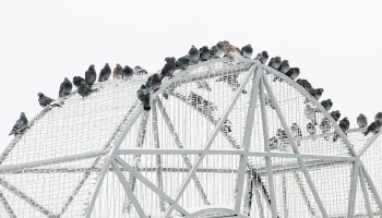 Синоптики сообщили о пасмурной погоде и небольшом снеге в Москве 10 декабря Синоптики сообщили о пасмурной погоде и небольшом снеге в Москве 10 декабря