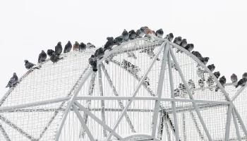 Синоптики рассказали об облачной и снежной погоде в Москве 1 января