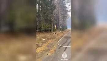 Сгоревшая площадь в Гоначхирском ущелье составила 263 га