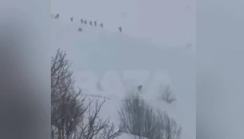 Россияне не пострадали при сходе лавины на горнолыжном курорте в Грузии