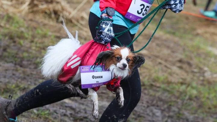 Кросс «Быстрый пес» прошел 11 апреля в Битцевском лесу